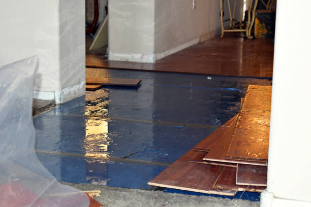 Professional Burst Pipe Cleanup technician working in Goodman, WI